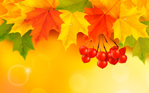 968381 (a): :2880x1800